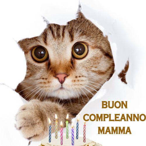 Buon Compleanno Mamma Immagini